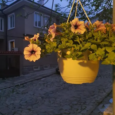 Homestay Hancho - Old Town Center